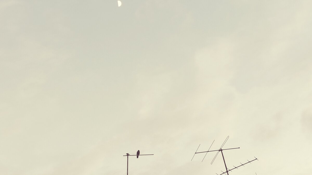 12  КЛОС (524) - CLOSE WAYS ALL