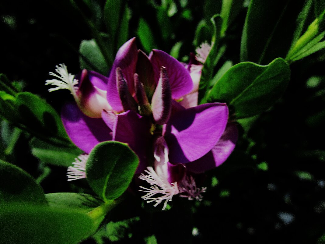 июнь Мармарис - Елена Шаламова