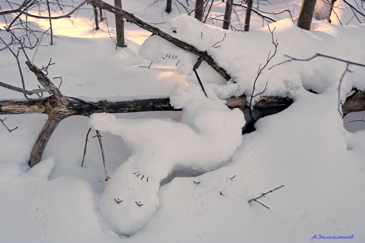 О разборках снежариков в чаще леса...:-) - Андрей Заломленков О разборках снежариков в чаще леса...:-) - Андрей Заломленков