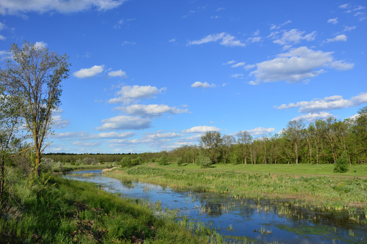 Вечер у реки. - Виктор 