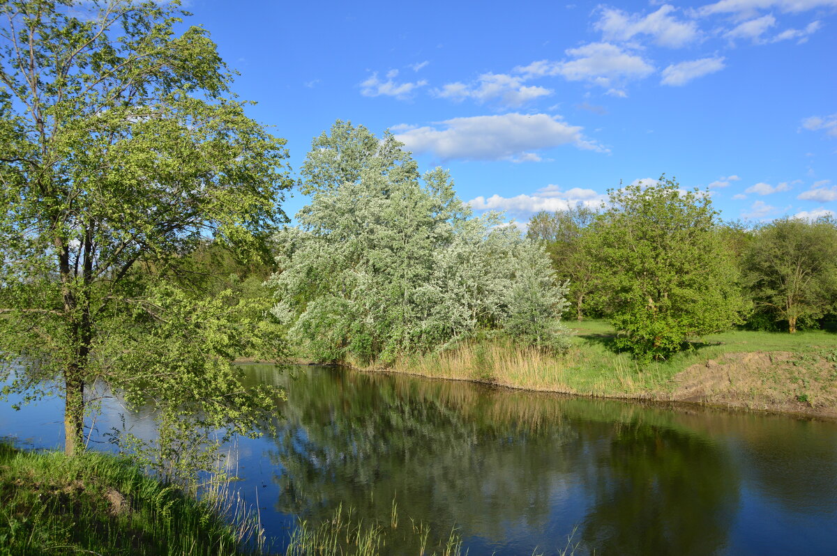Донские зарисовки. - Виктор 