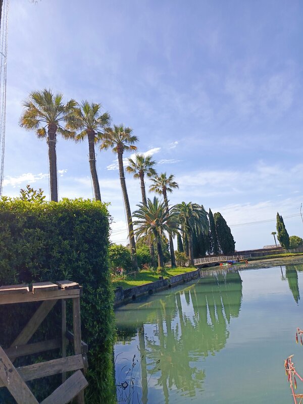 Новый Афон - Татьяна Пальчикова Новый Афон - Татьяна Пальчикова