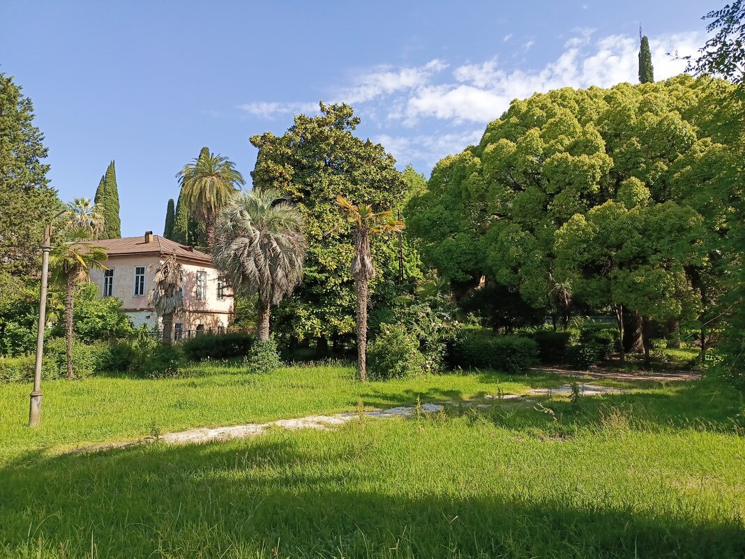 Новый Афон - Татьяна Пальчикова Новый Афон - Татьяна Пальчикова