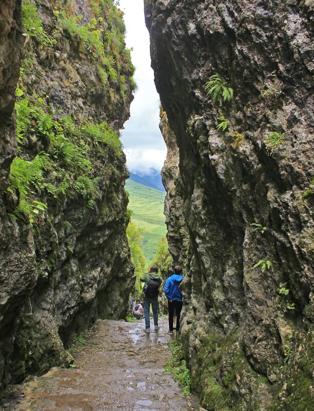 Спуститесь по ступенькам - Владимир Соколов (svladmir)