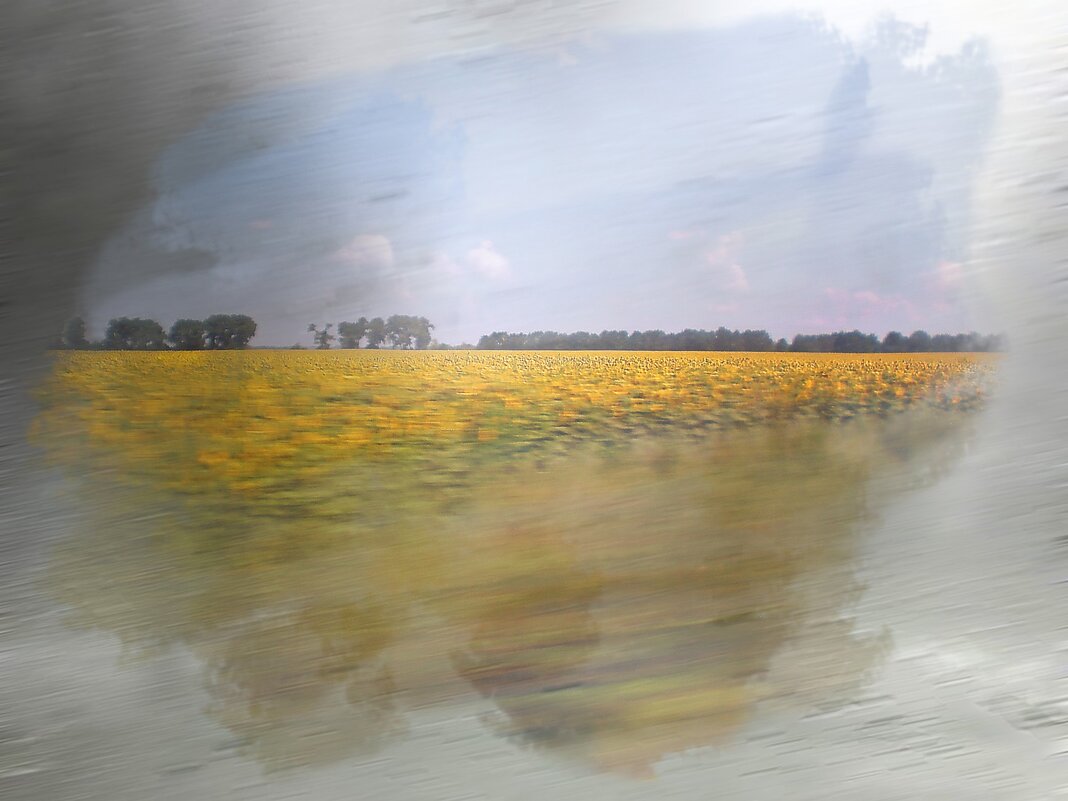 За окном автомобиля... - Роман Савоцкий