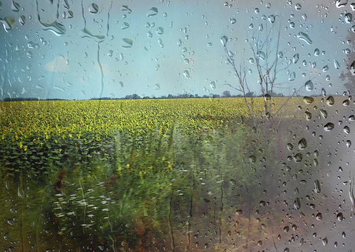 За окном автомобиля... - Роман Савоцкий