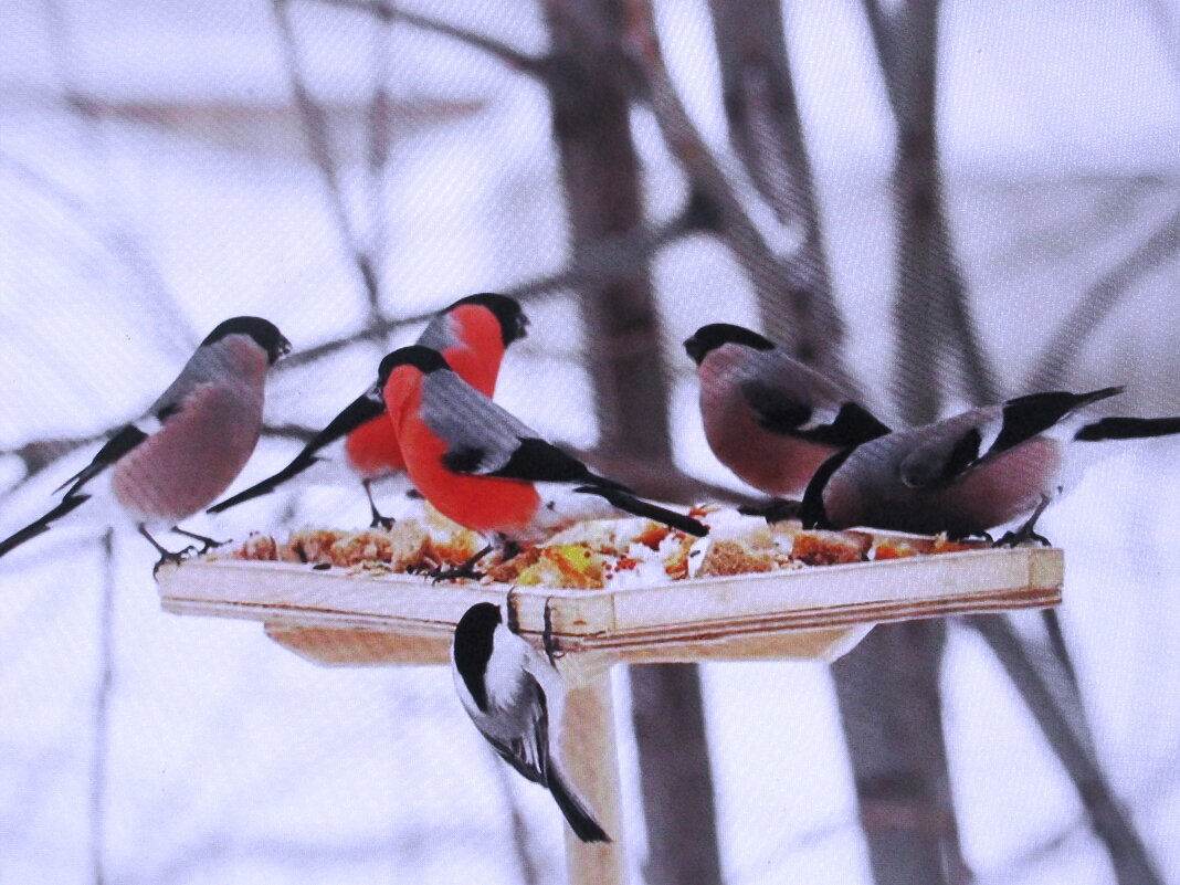 Есть захотели - Людмила Смородинская Есть захотели - Людмила Смородинская
