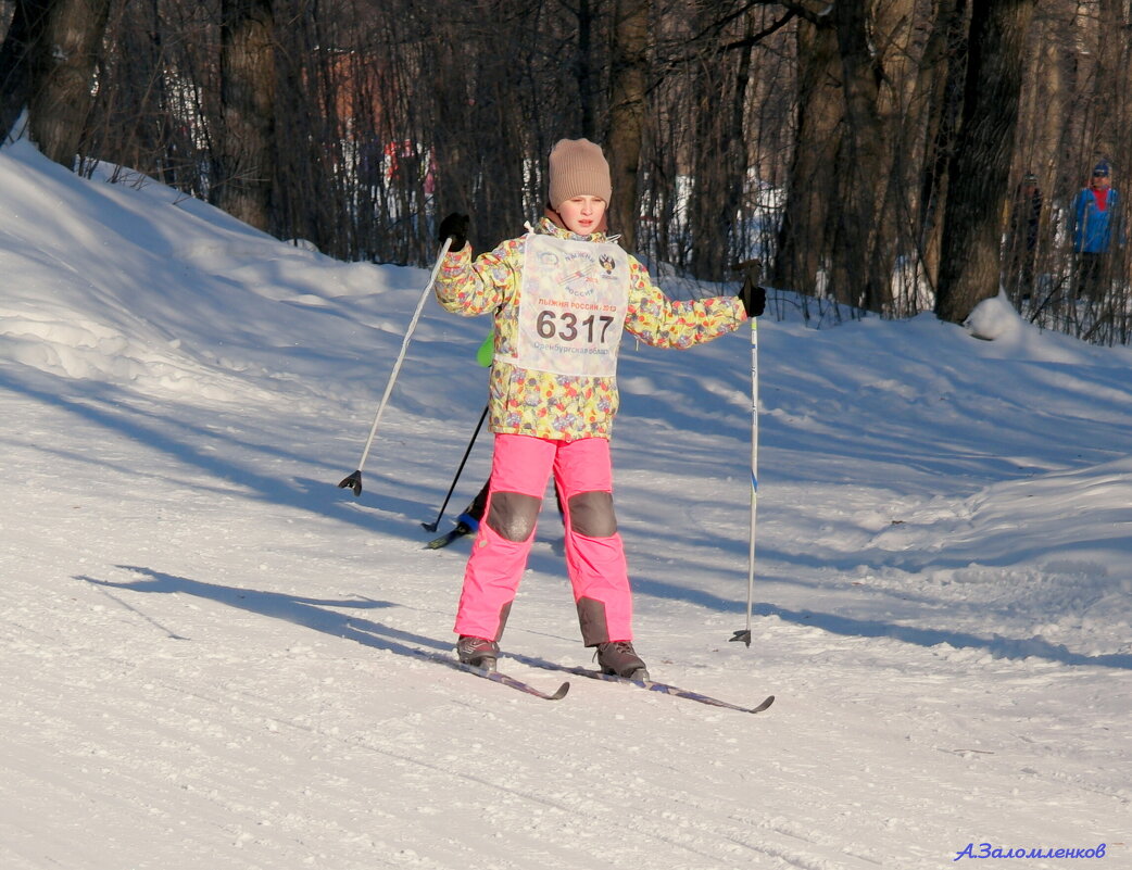 На люжных трассах февраля - Андрей Заломленков
