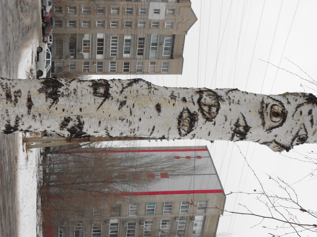 вариации на тему - Елена Шаламова