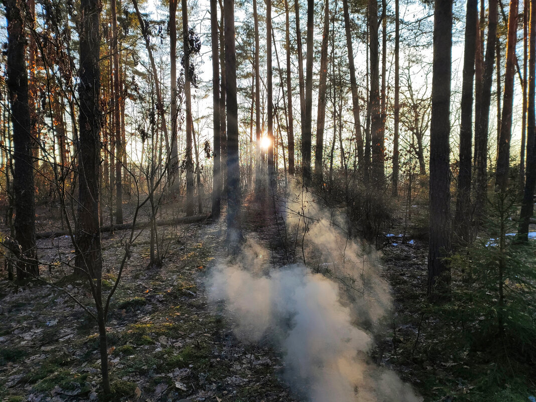 В феврале - Денис Бочкарёв В феврале - Денис Бочкарёв