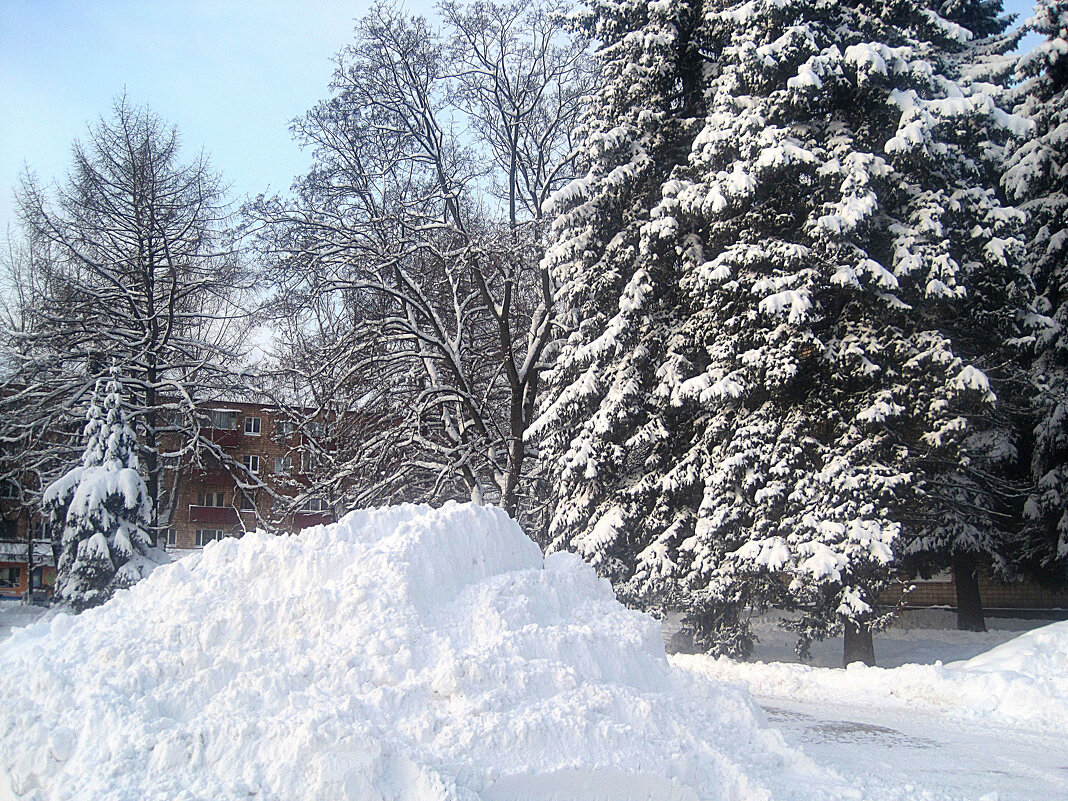 Снежной зимой - Елена Семигина