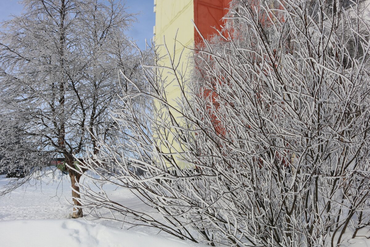 Пока не налетел ветер - Ольга Пока не налетел ветер - Ольга