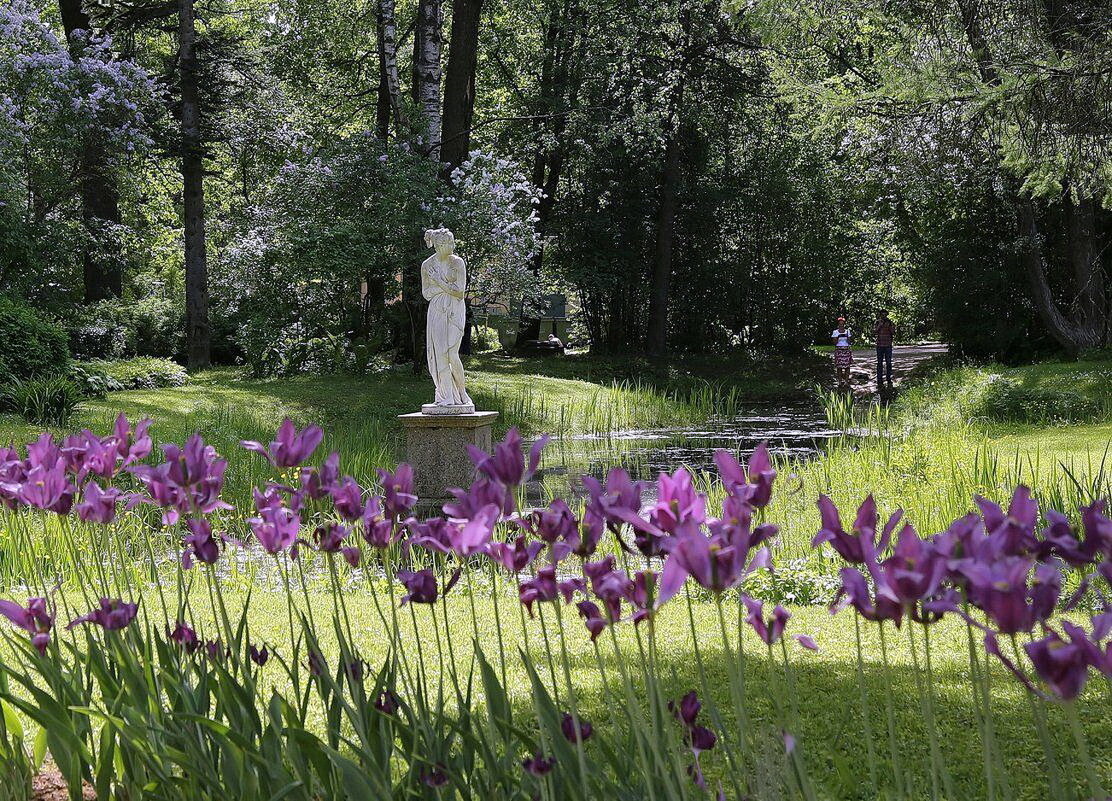 Про лето - ZNatasha - Про лето - ZNatasha -