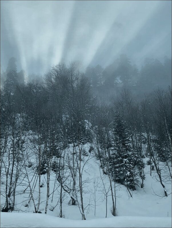 Солнечный веер! - Надежда Солнечный веер! - Надежда