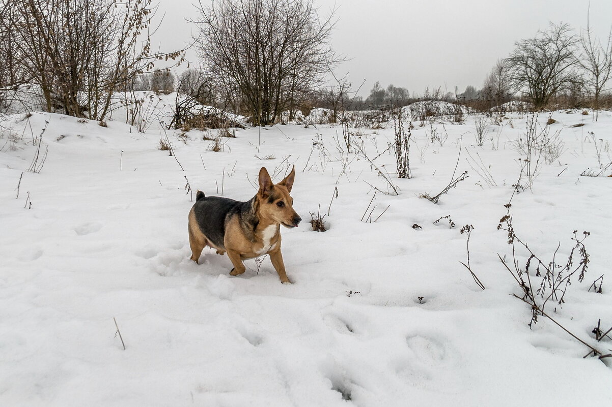 Вижу цель - Елена Пономарева Вижу цель - Елена Пономарева