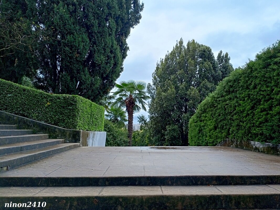 Адлер. Дендропарк "Южные культуры" - Нина Бутко Адлер. Дендропарк "Южные культуры" - Нина Бутко