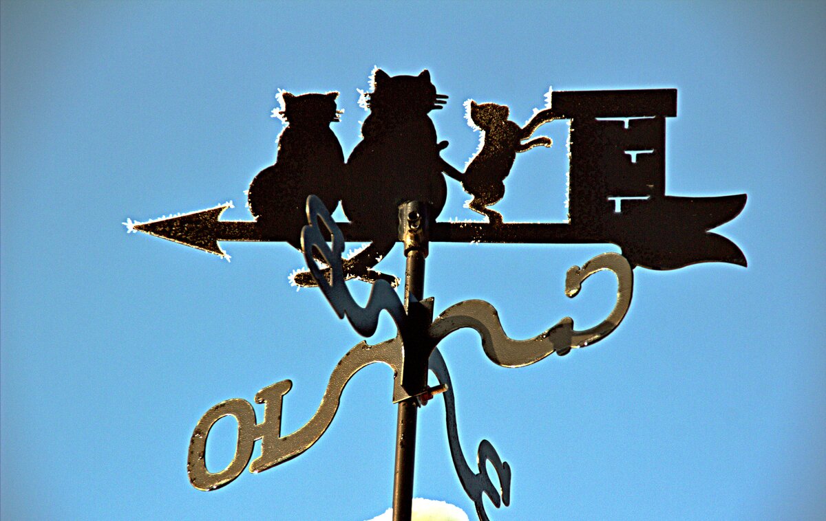 Флюгер - евгений 