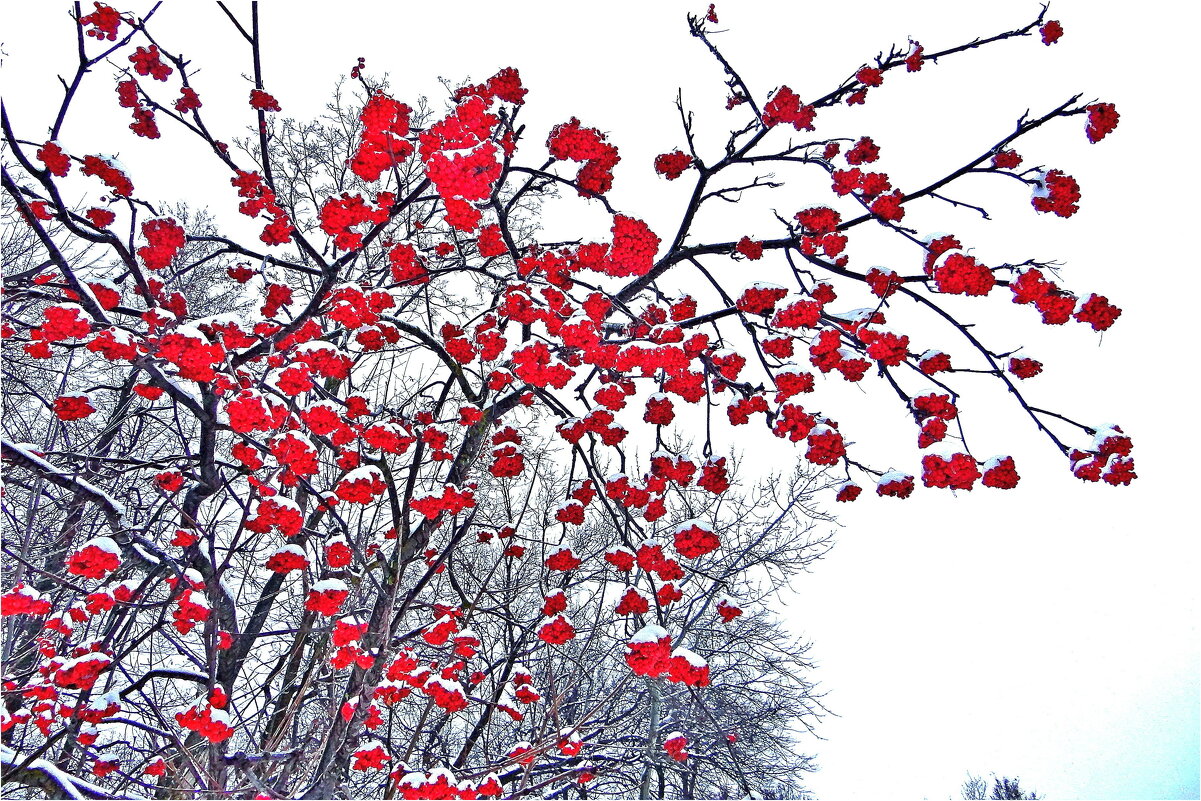 ЗИМА - Юрий Владимирович 34