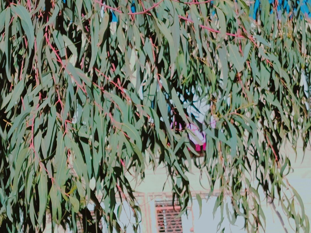 109 (82) - СТРЕН 