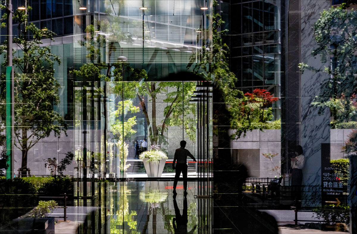 ... - Елена Демидова 