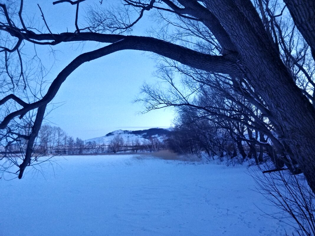 Вечер на озере - Андрей Хлопонин