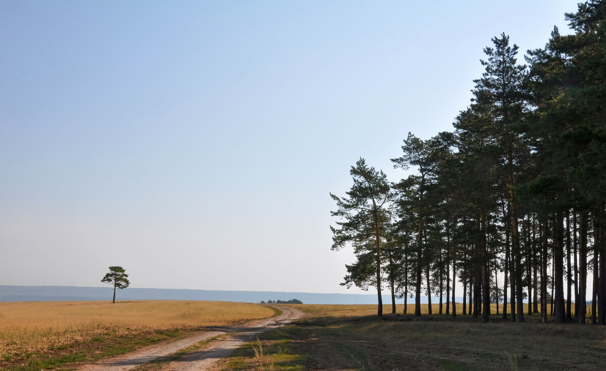Спуск к Волге, правый берег - **** vedin
