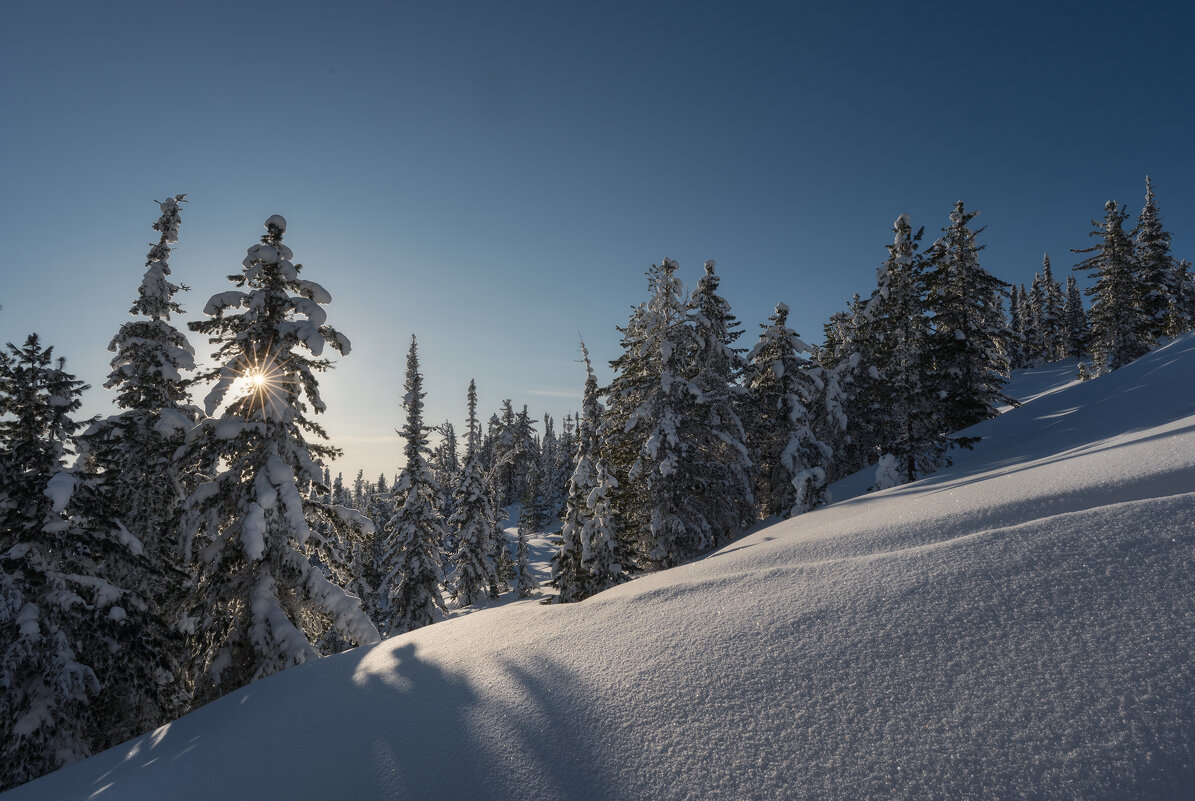* - Александр Иванов
