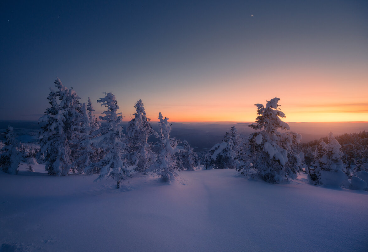 * - Александр Иванов * - Александр Иванов