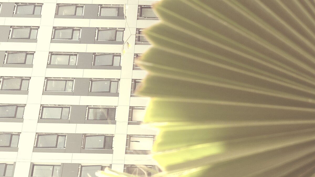 12  КЛОС (541) - CLOSE WAYS ALL