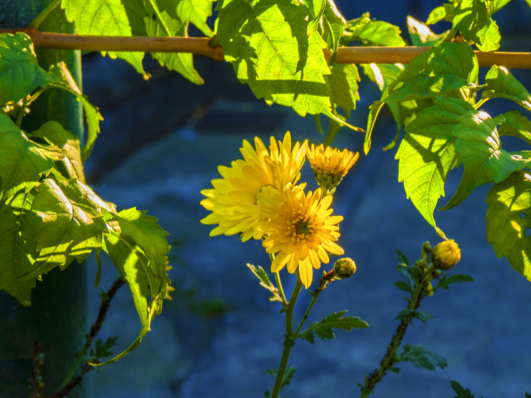 В  солнечный день - Валентин Семчишин
