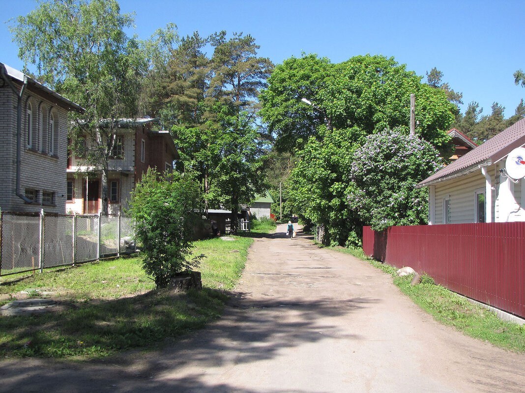 Краснофлотский переулок - Александр Ильчевский 