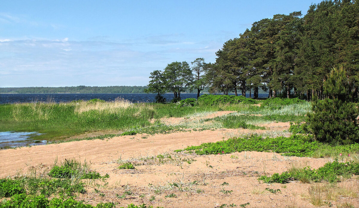 Городской пляж - Александр Ильчевский 