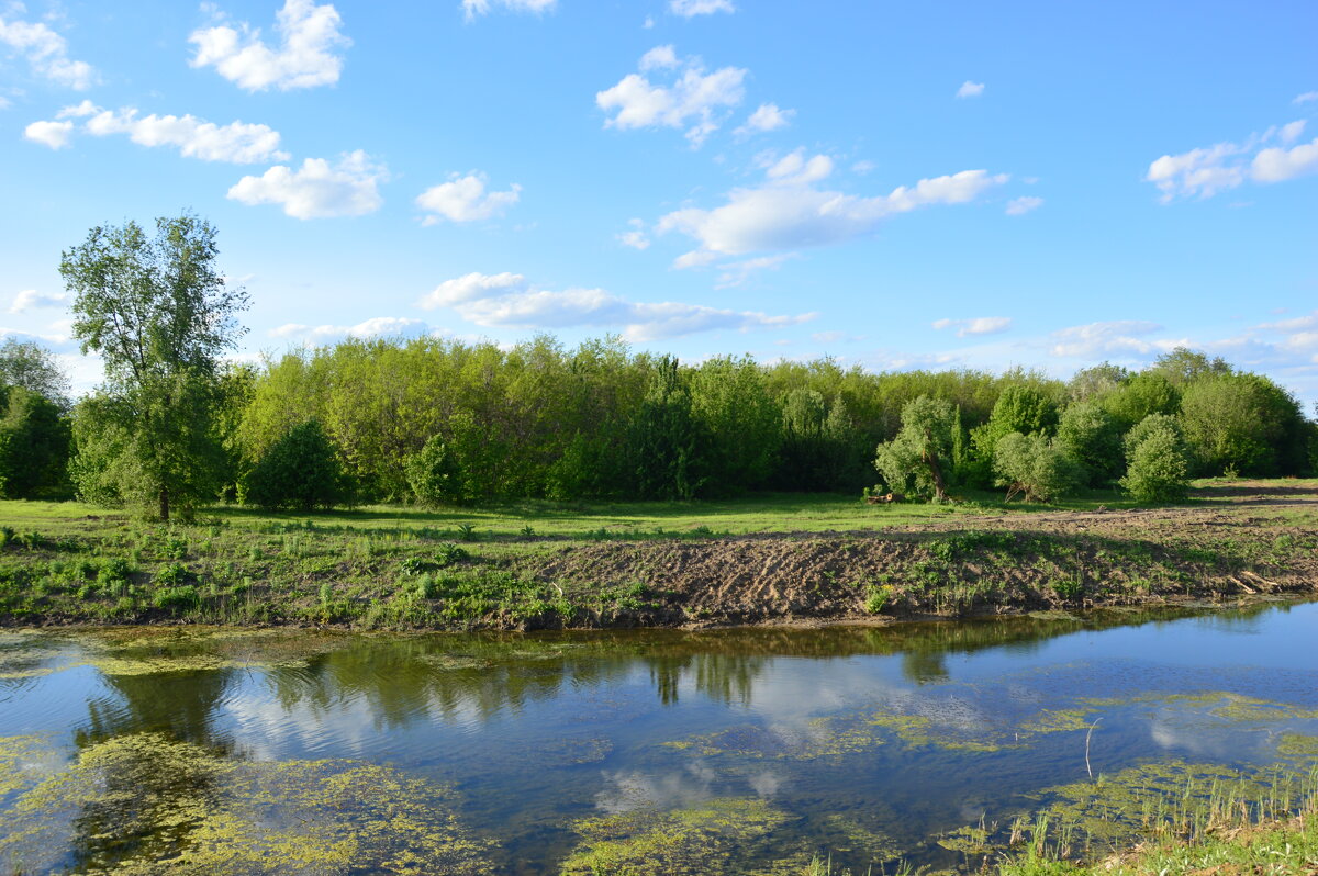 Вечер у реки. - Виктор 