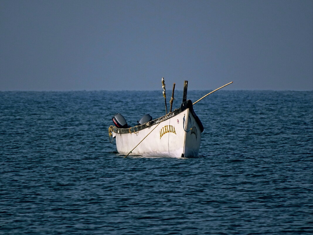 Аллелуйя! - Павел Трунцев Аллелуйя! - Павел Трунцев