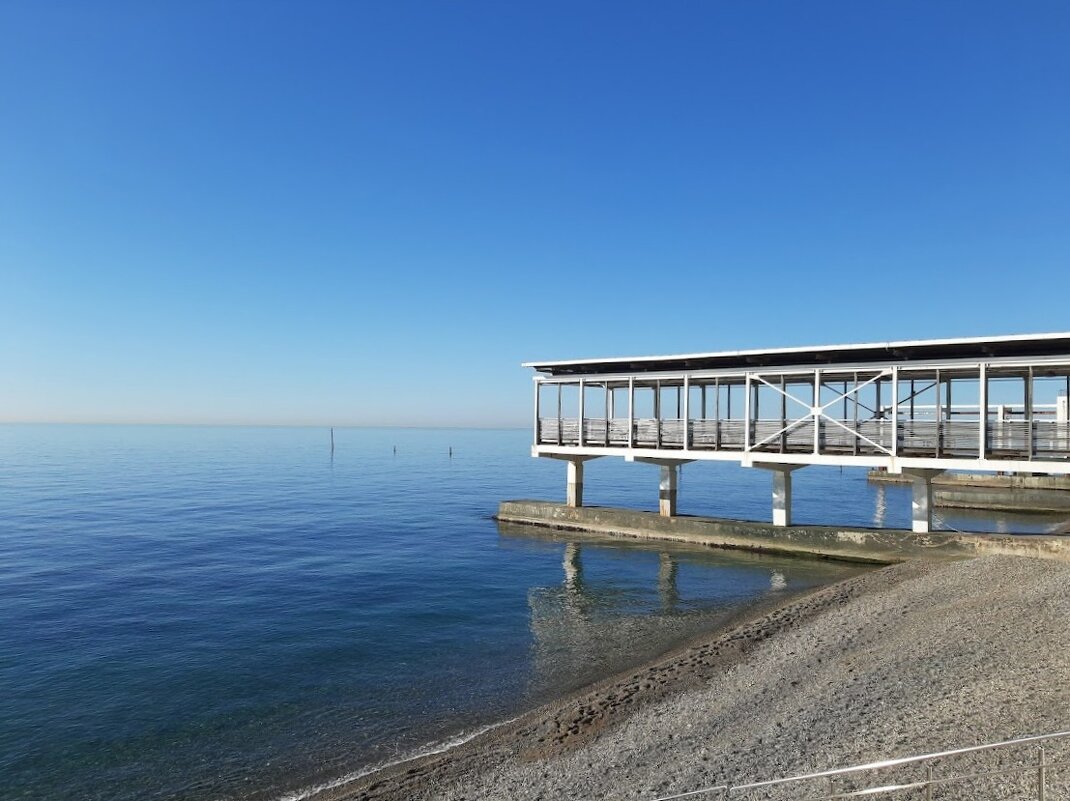 Январь 2025 г. Сочи - Tata Wolf