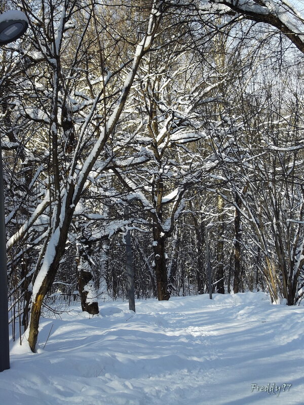 Хорошая погода - хорошему настроению... - Freddy 97 Хорошая погода - хорошему настроению... - Freddy 97