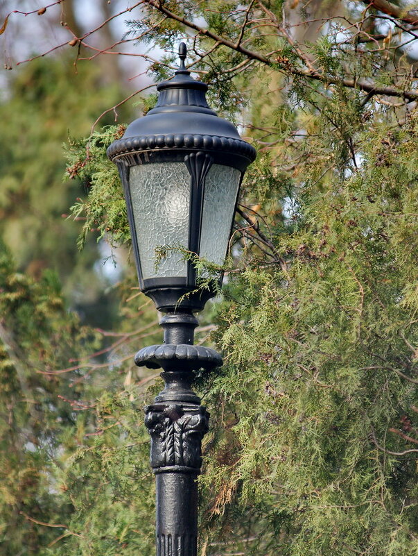 Про фонари одного парка... - Николай Саржанов Про фонари одного парка... - Николай Саржанов