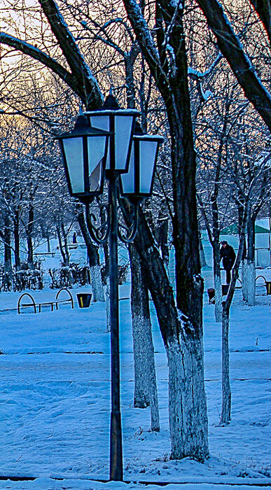 В зимнем парке - Светлана SvetNika17 В зимнем парке - Светлана SvetNika17