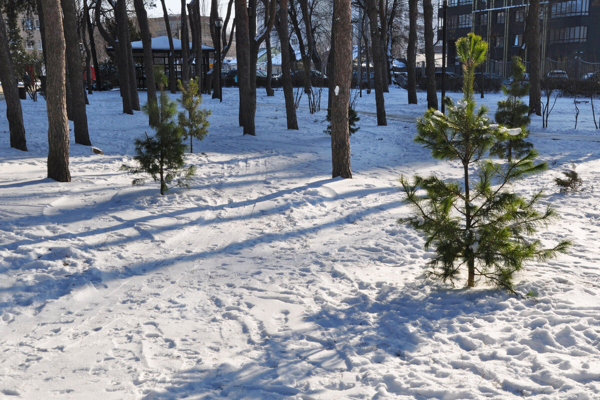 Ничего особенного нет - это просто снег - Татьяна Машошина Ничего особенного нет - это просто снег - Татьяна Машошина