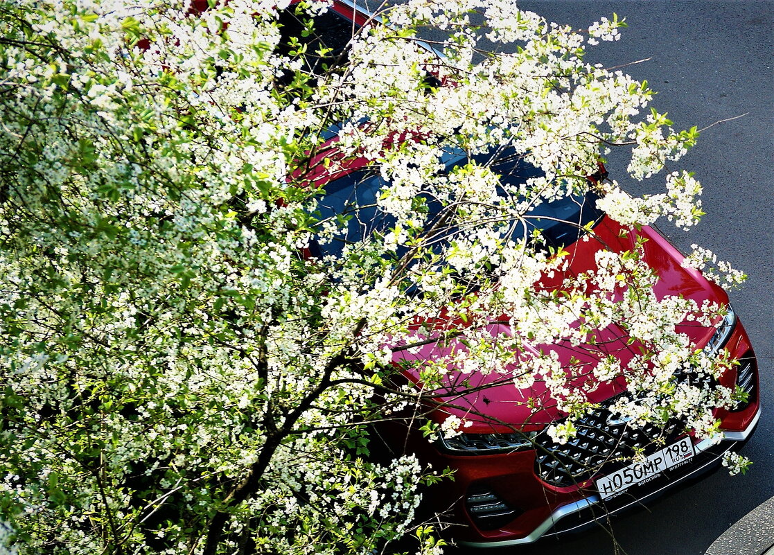 ВСПОМИНАЯ ВЕСНУ - Виктор Никитенко ВСПОМИНАЯ ВЕСНУ - Виктор Никитенко