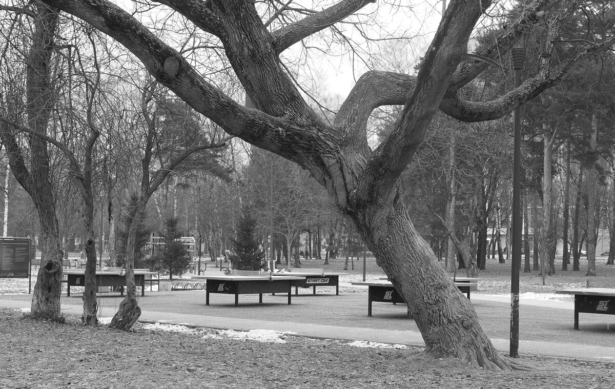 ***** - юрий поляков