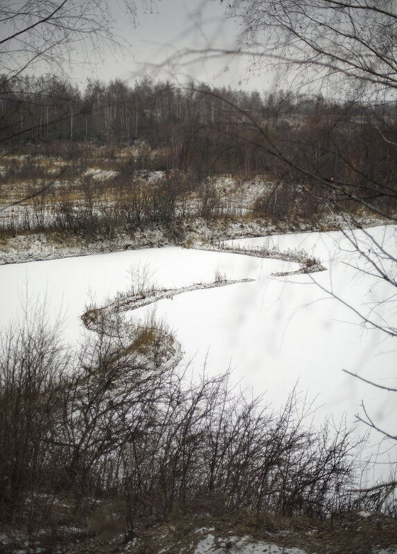 Змейка - sorovey Sol Змейка - sorovey Sol