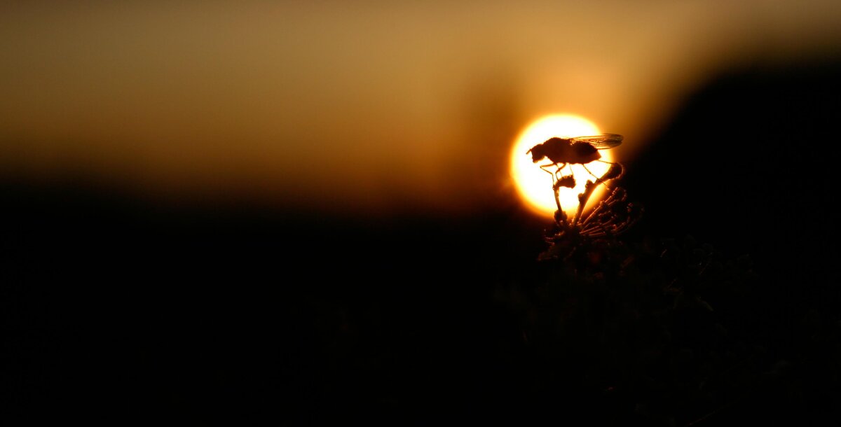 К взлёту готов! - Вячеслав Владимирович