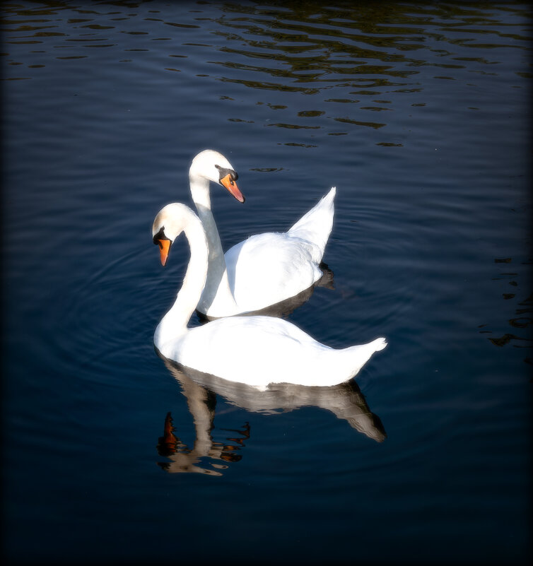 ... - leff Postnov ... - leff Postnov