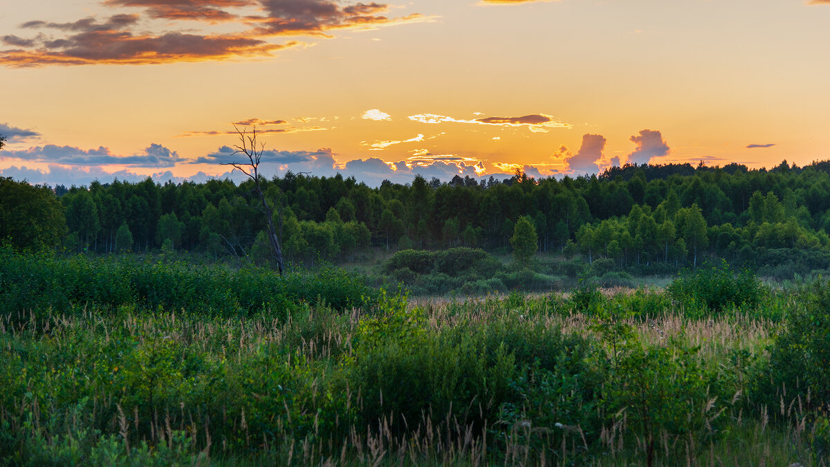 Июльский закат - Владимир Лазарев