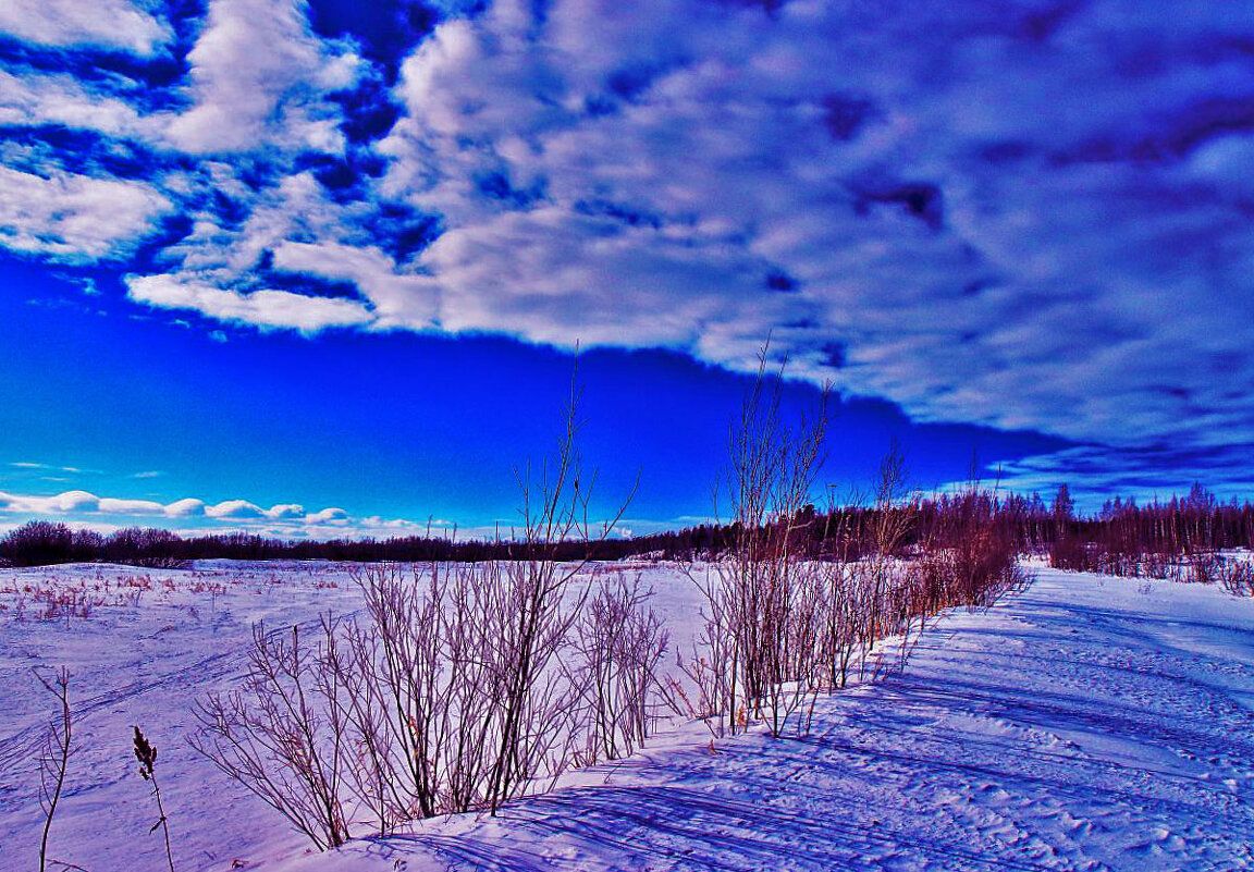 Март...Весенняя рапсодия! - Владимир Март...Весенняя рапсодия! - Владимир