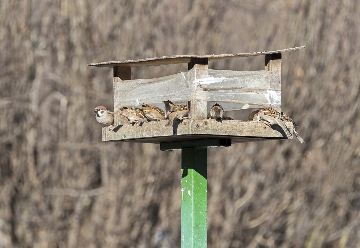 Один на стрёме - Валерий Иванович