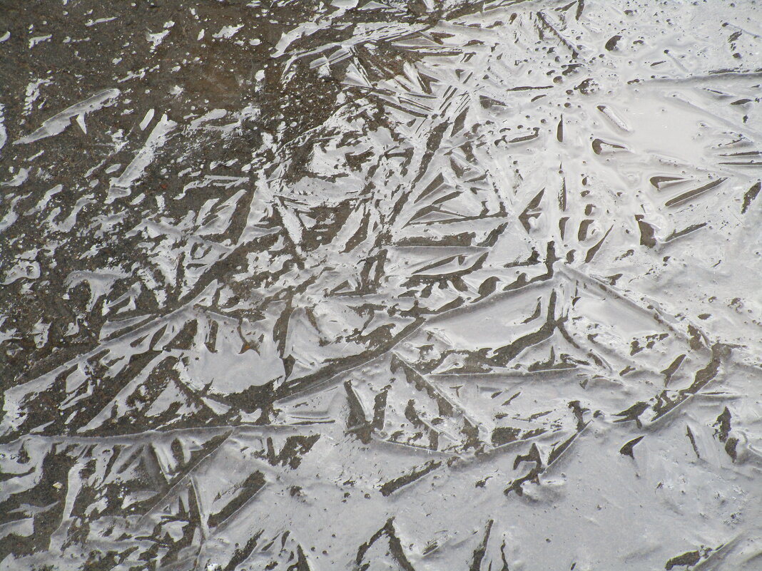 мятая лужа - Елена Шаламова