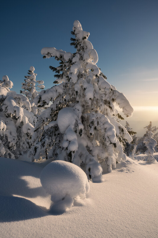 * - Александр Иванов * - Александр Иванов
