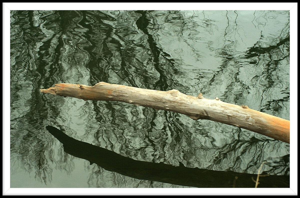 1 - Гонорий Голопупенко